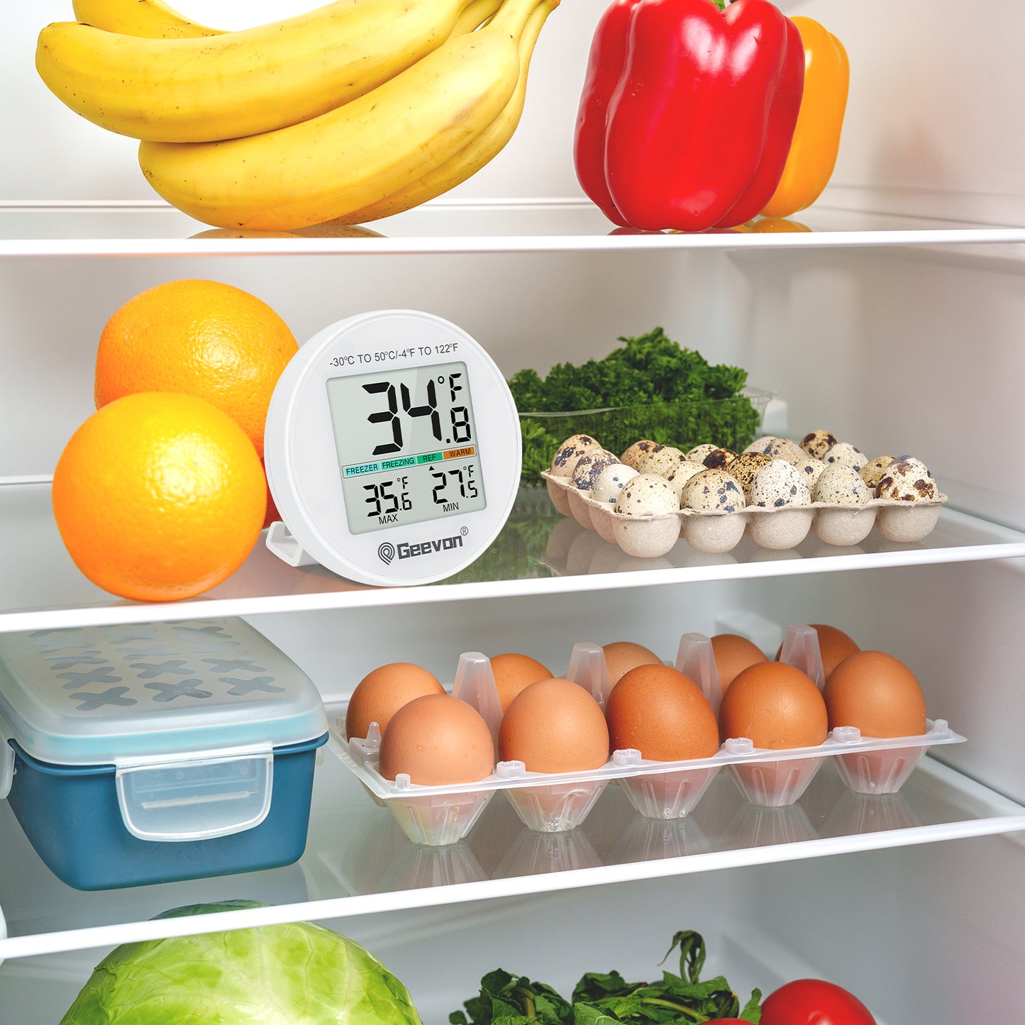 Geevon Small Digital Refrigerator Thermometer 2 Pack, IP65 Waterproof Max/Min Record Function with LCD Screen, Stand and Magnetic Back, for Fridge, Freezer Scenarios(Battery Included)